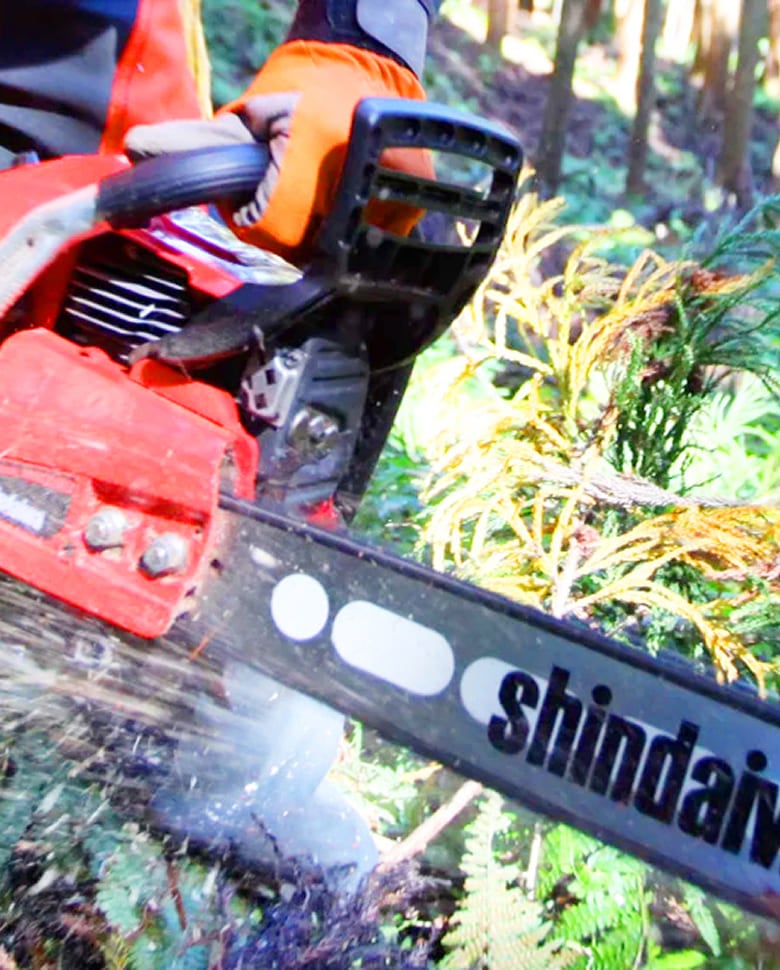 Outdoor power equipment (OPE)