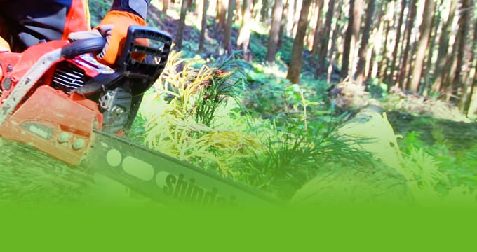 Outdoor power equipment (OPE)